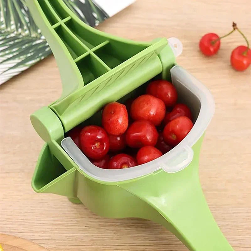Manual Juicer