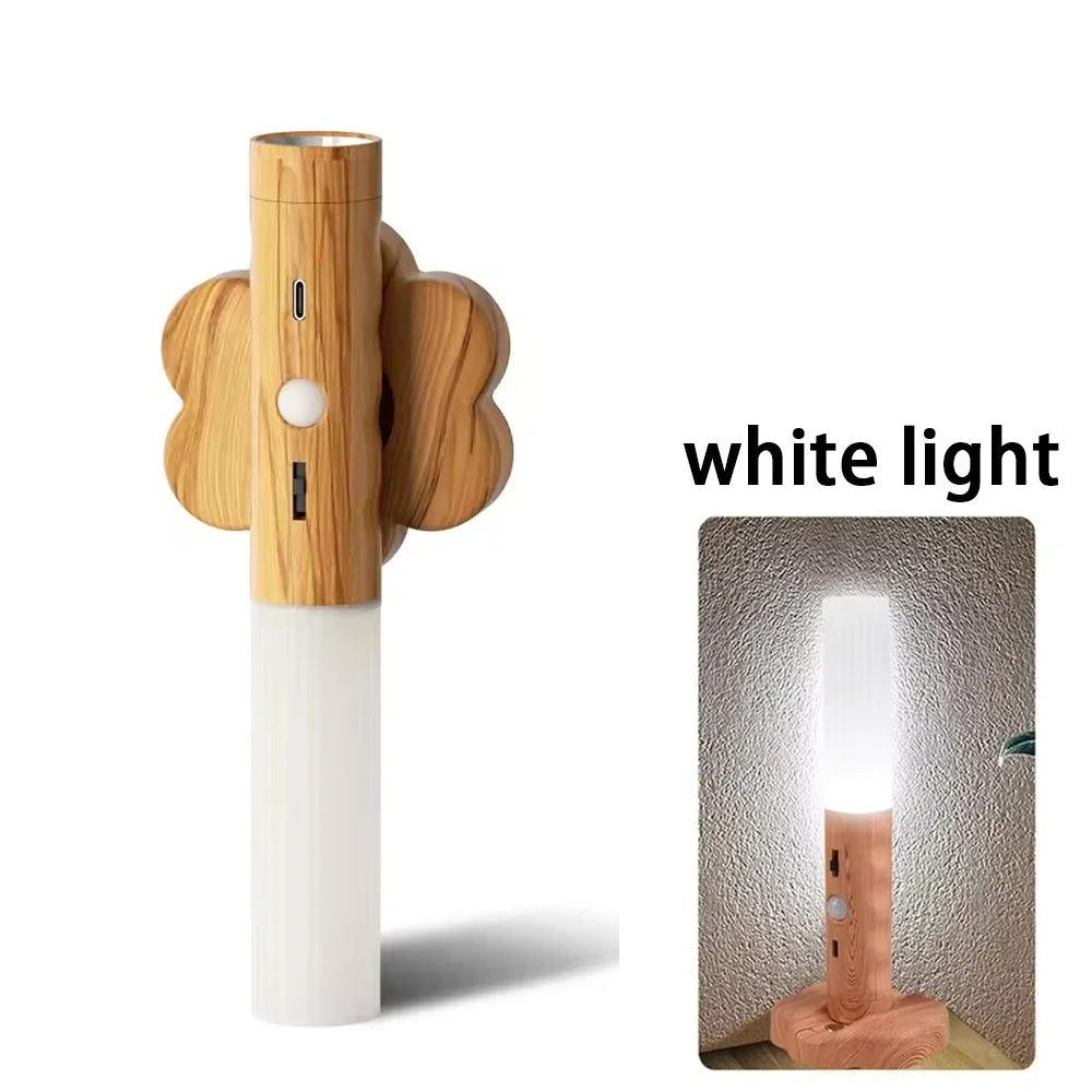 Motion sensor rechargeable LED Night Light