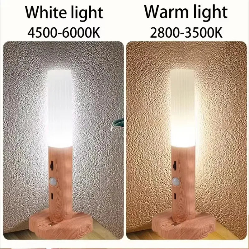 Motion sensor rechargeable LED Night Light